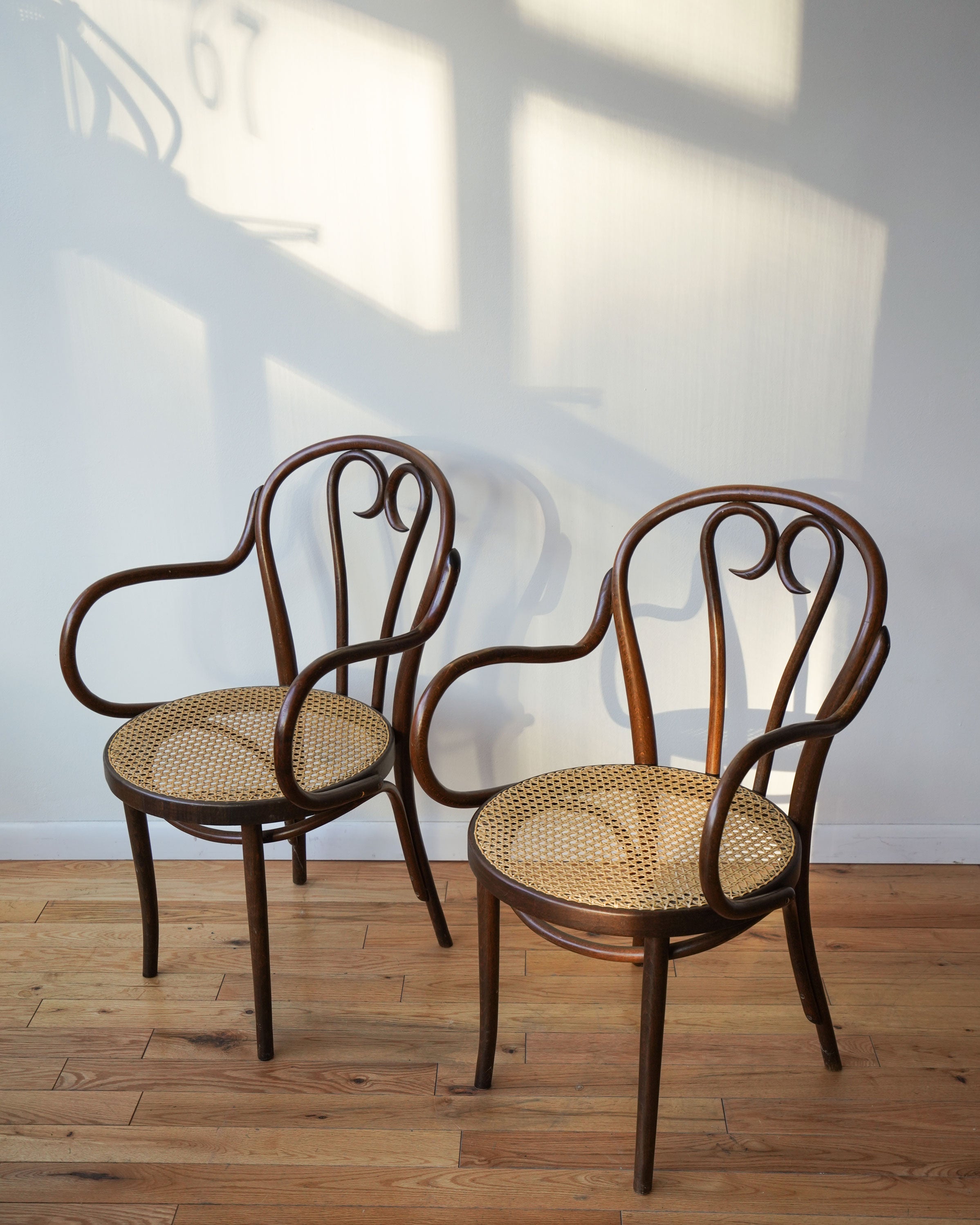 Thonet Sweetheart 16 Chairs - Main Image